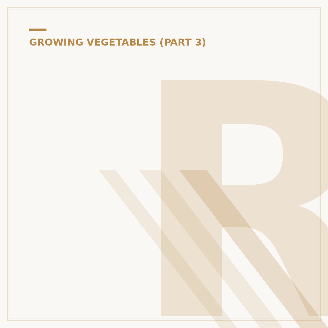 Radish Harvest Time: Knowing When Your Roots Are Ready