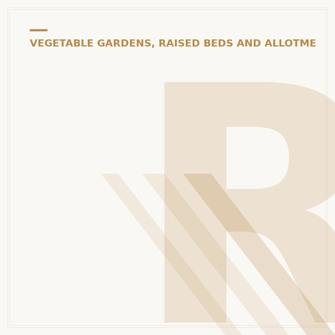 Raised Beds for Vegetables: Grow More With Less Effort