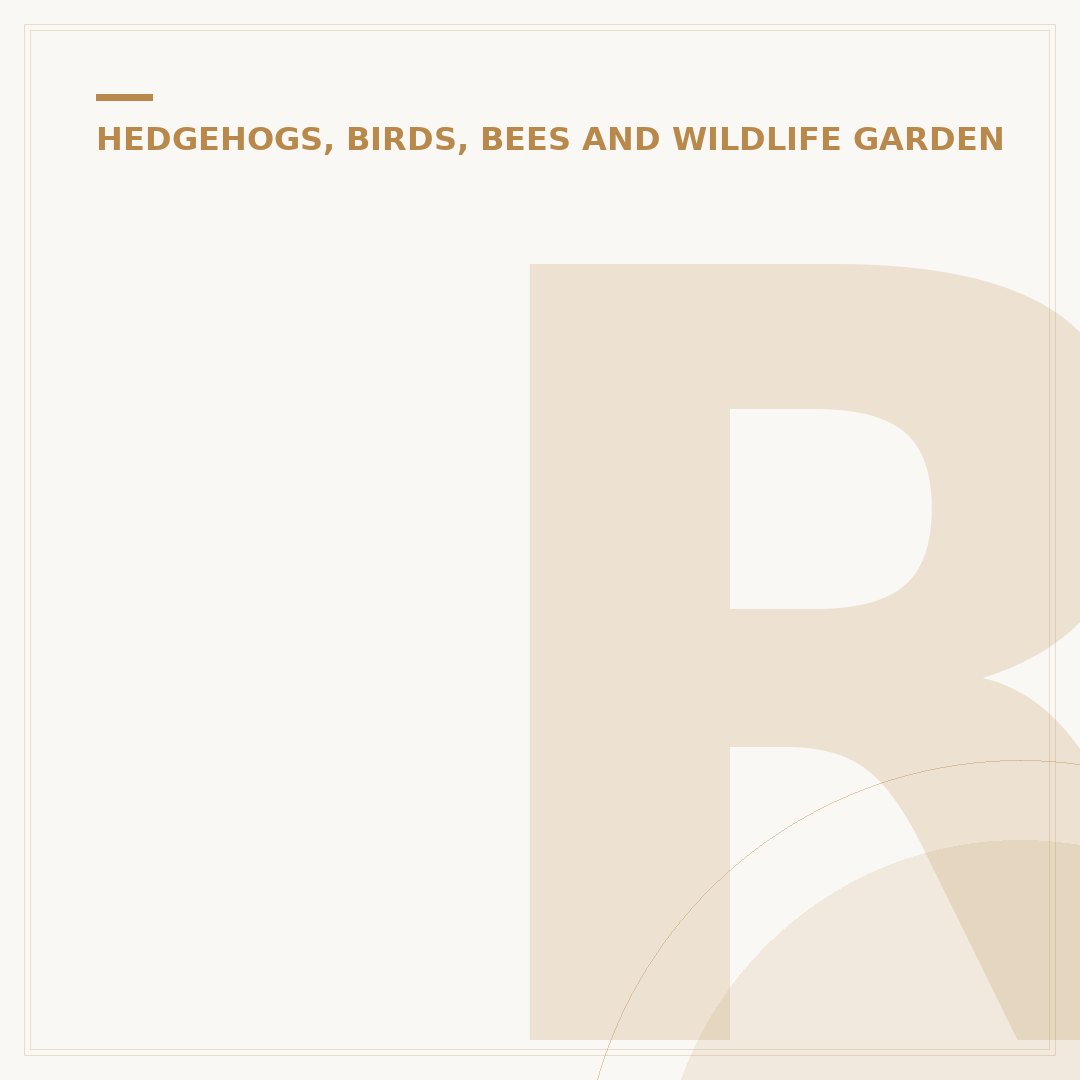 Rat Resistant Bird Feeders: Stop Rodents Eating Bird Food