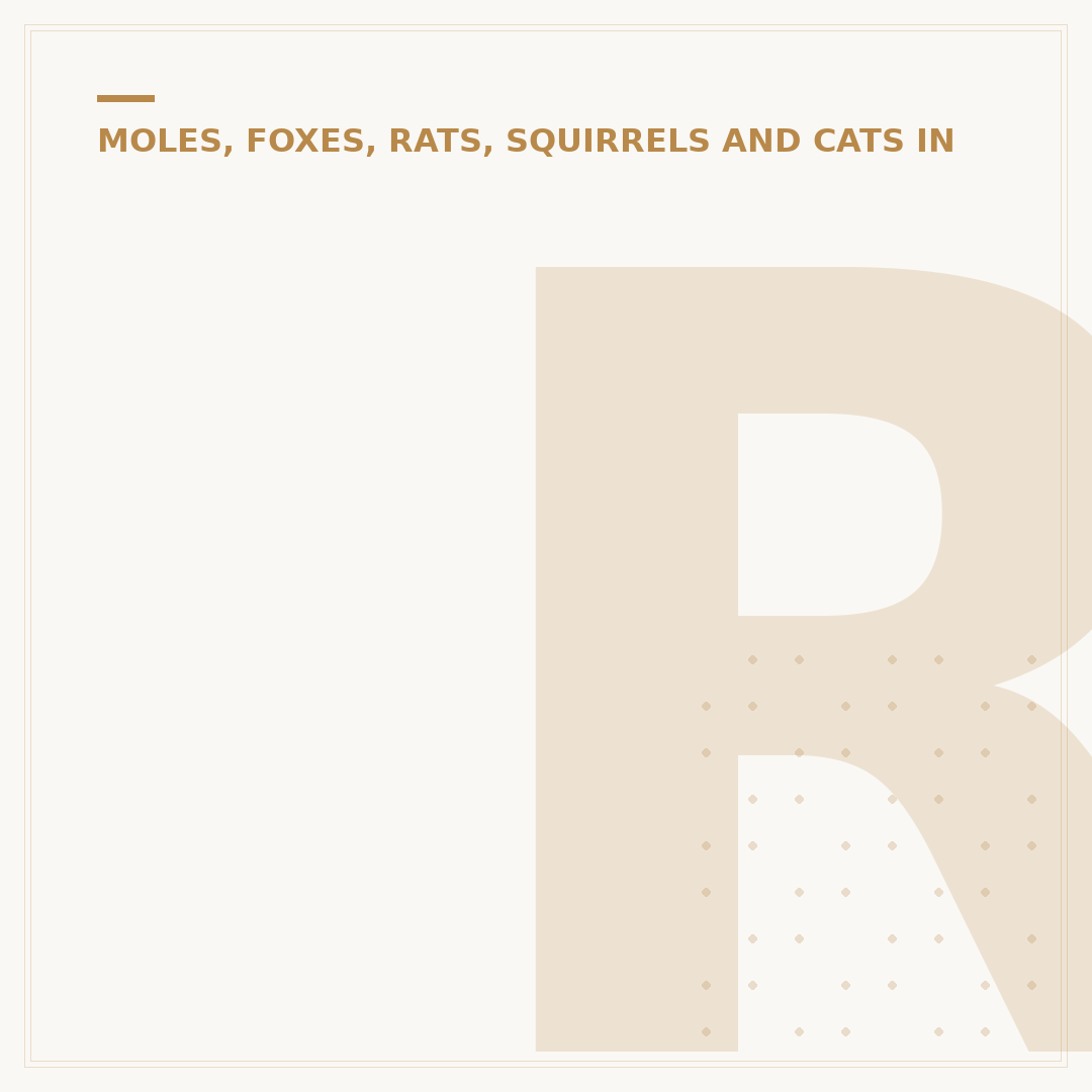 Rats in Compost Pile: Deterrence and Prevention