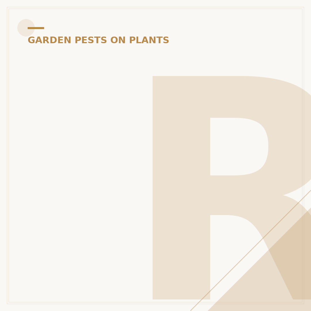 Red Lily Beetle Larvae: Identification & Control