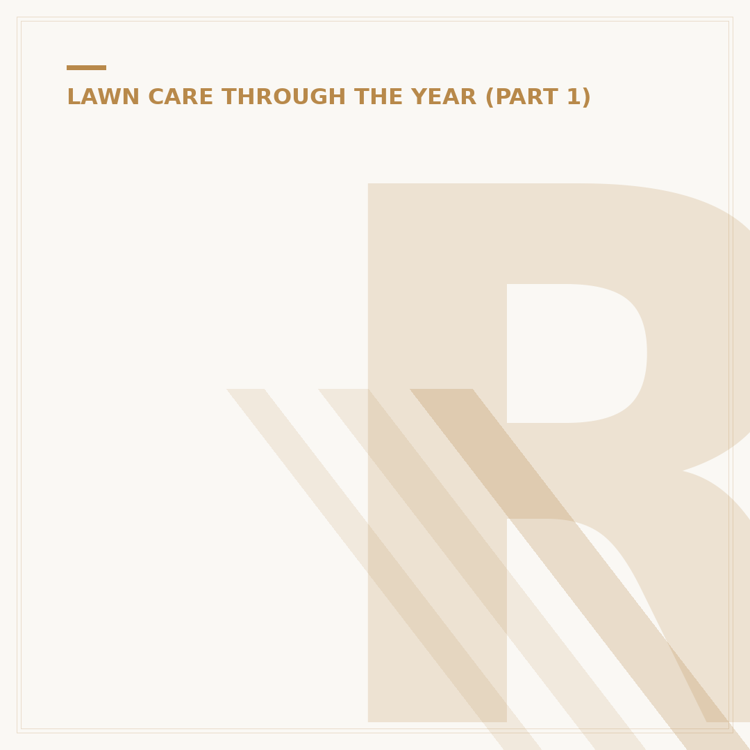 Repairing a Lawn: Methods for a Healthier Grass