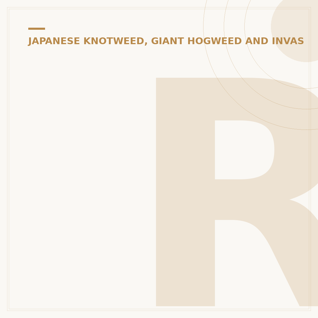 Reporting Japanese Knotweed: What You Need to Know