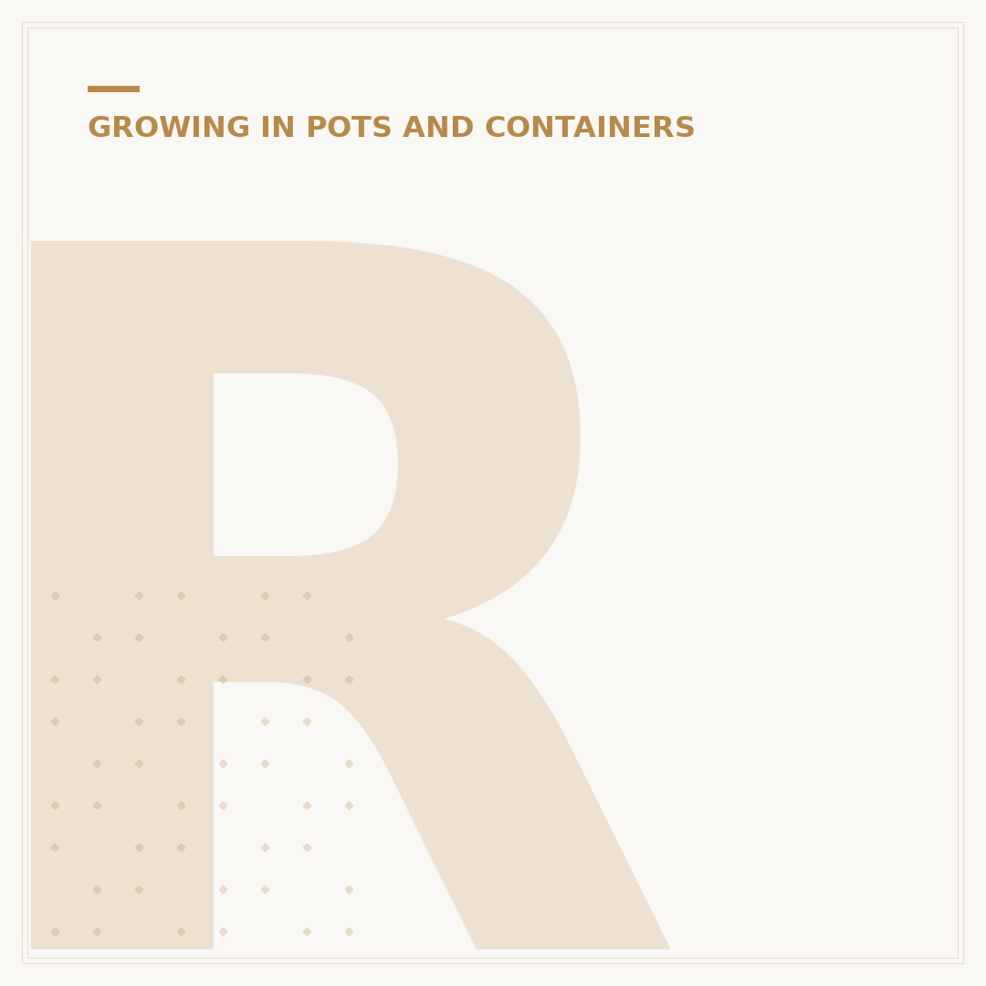 Repotting Zygocactus: When and How to Move Them