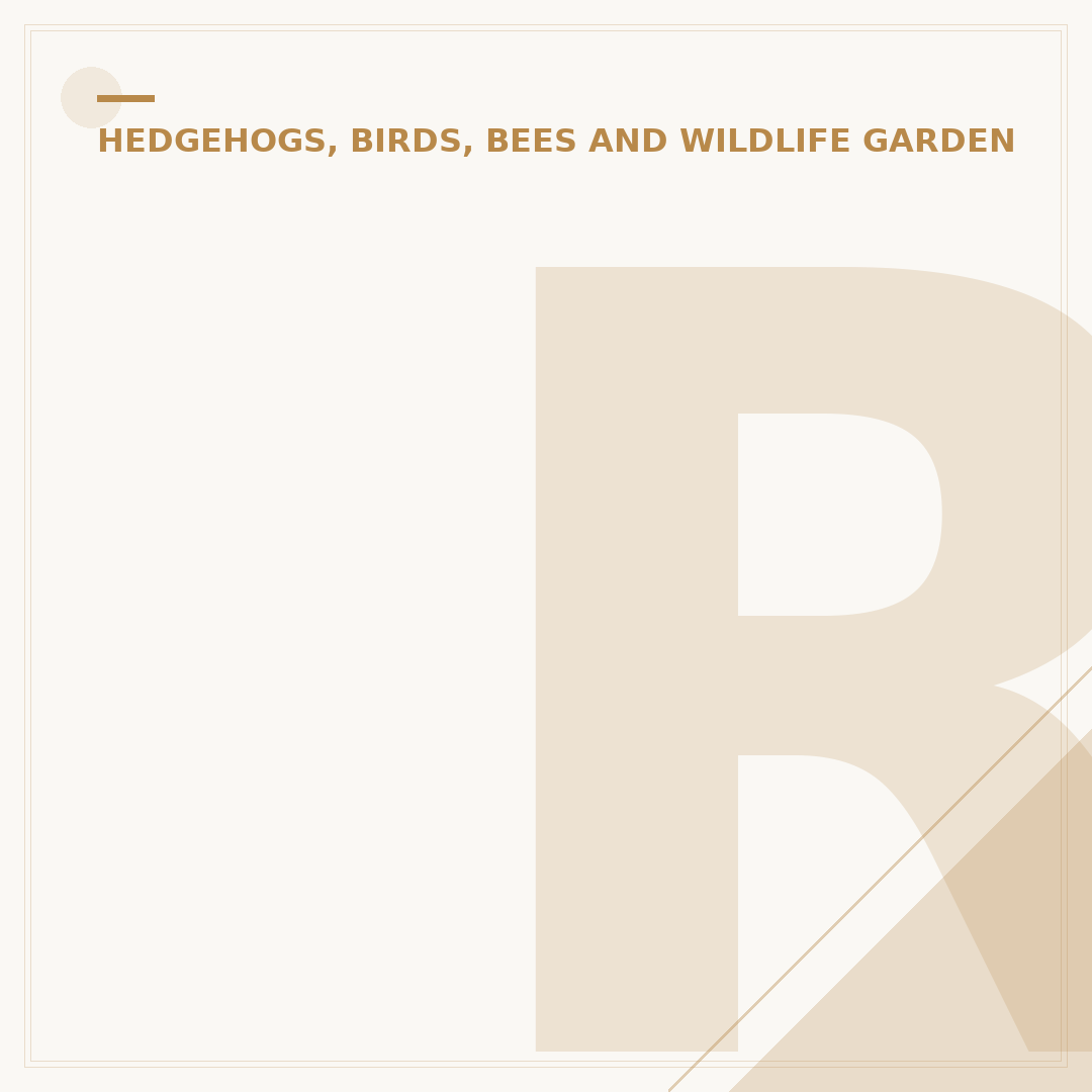 Roam Wild Bird Feeder