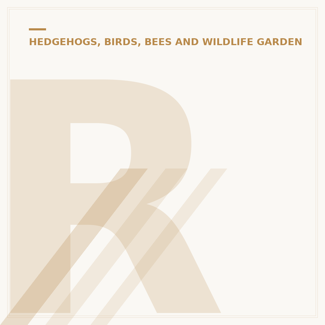 Roamwild PestOff Bird Feeder: Alternatives & Features