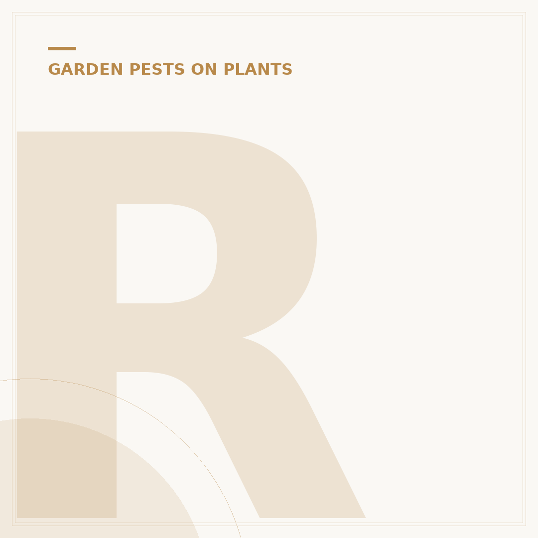 Root Aphids: Identification and Control on Plants