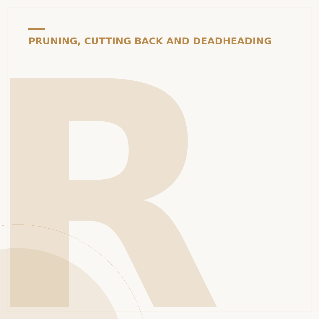 Rosebush Pruning: Timing and Techniques Explained