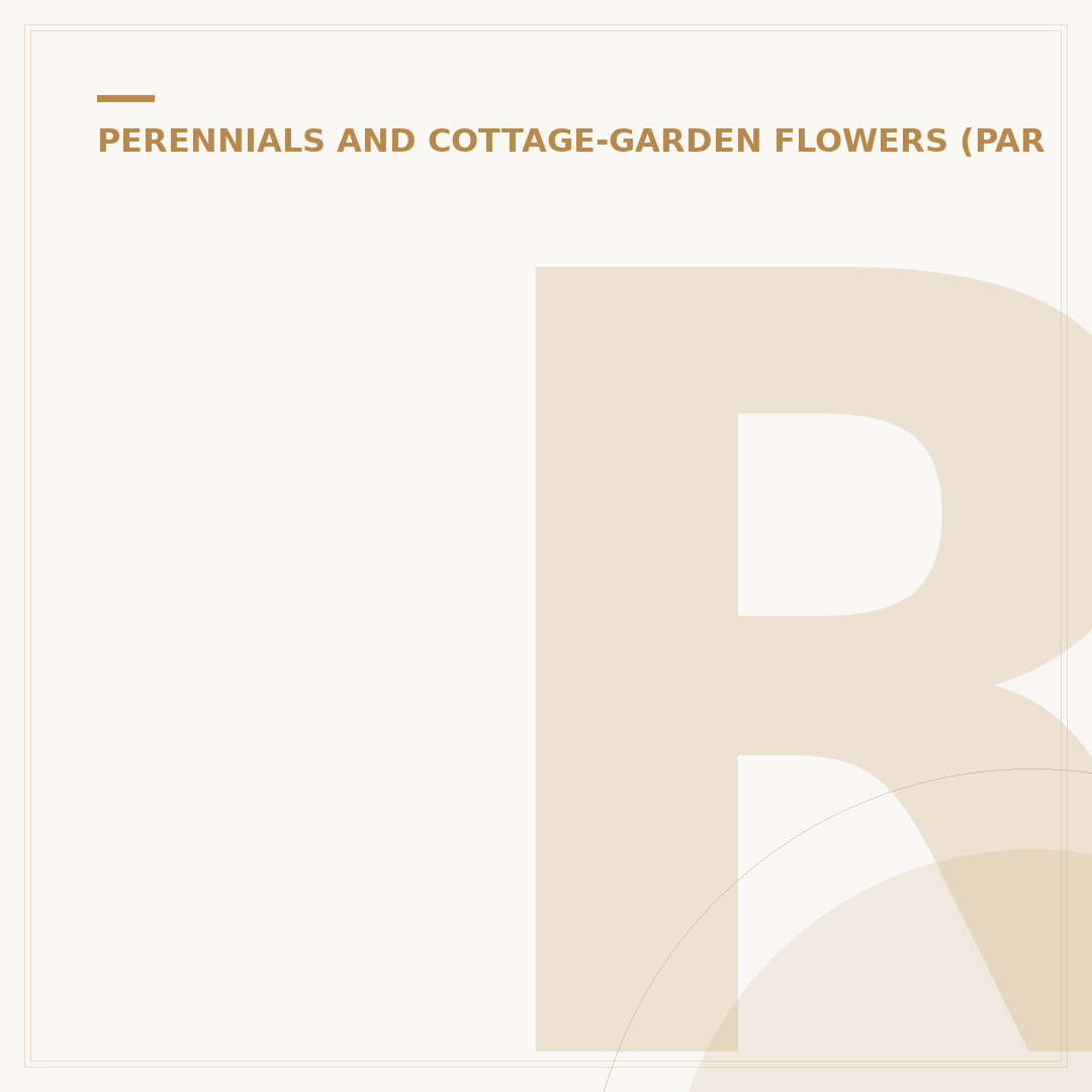 Rudbeckia Hirta: Growing Black-Eyed Susans