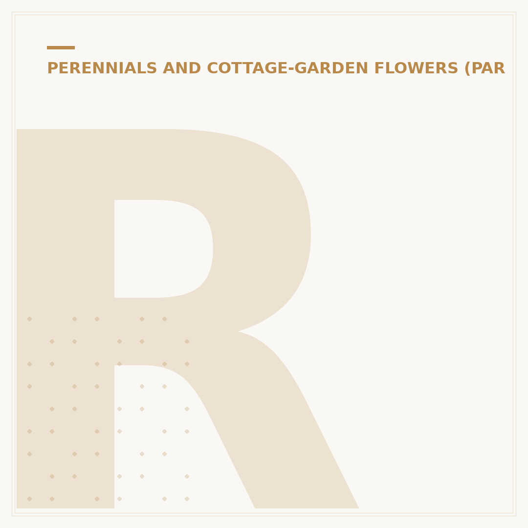 Rudbeckia Perennial