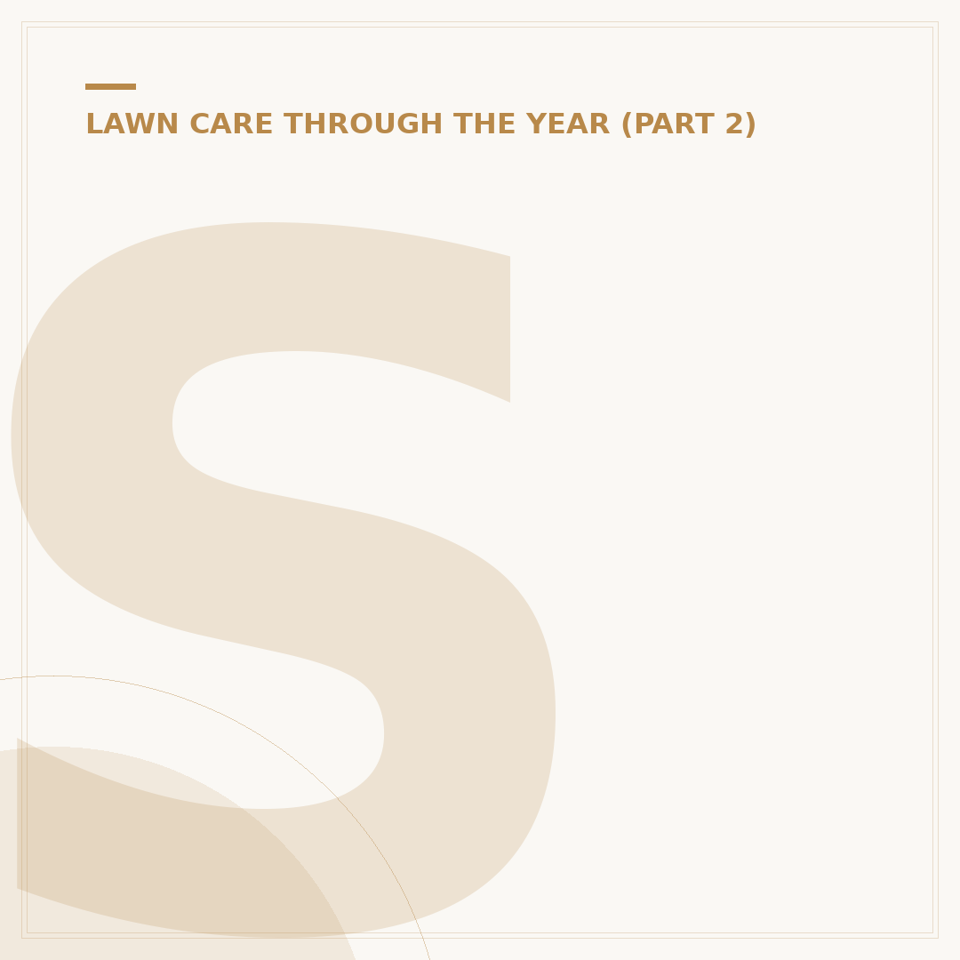 Sanding a Lawn: When and Why to Apply Sand