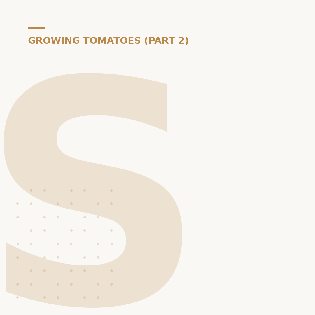 Save Tomato Seeds to Plant: A Gardener's Method