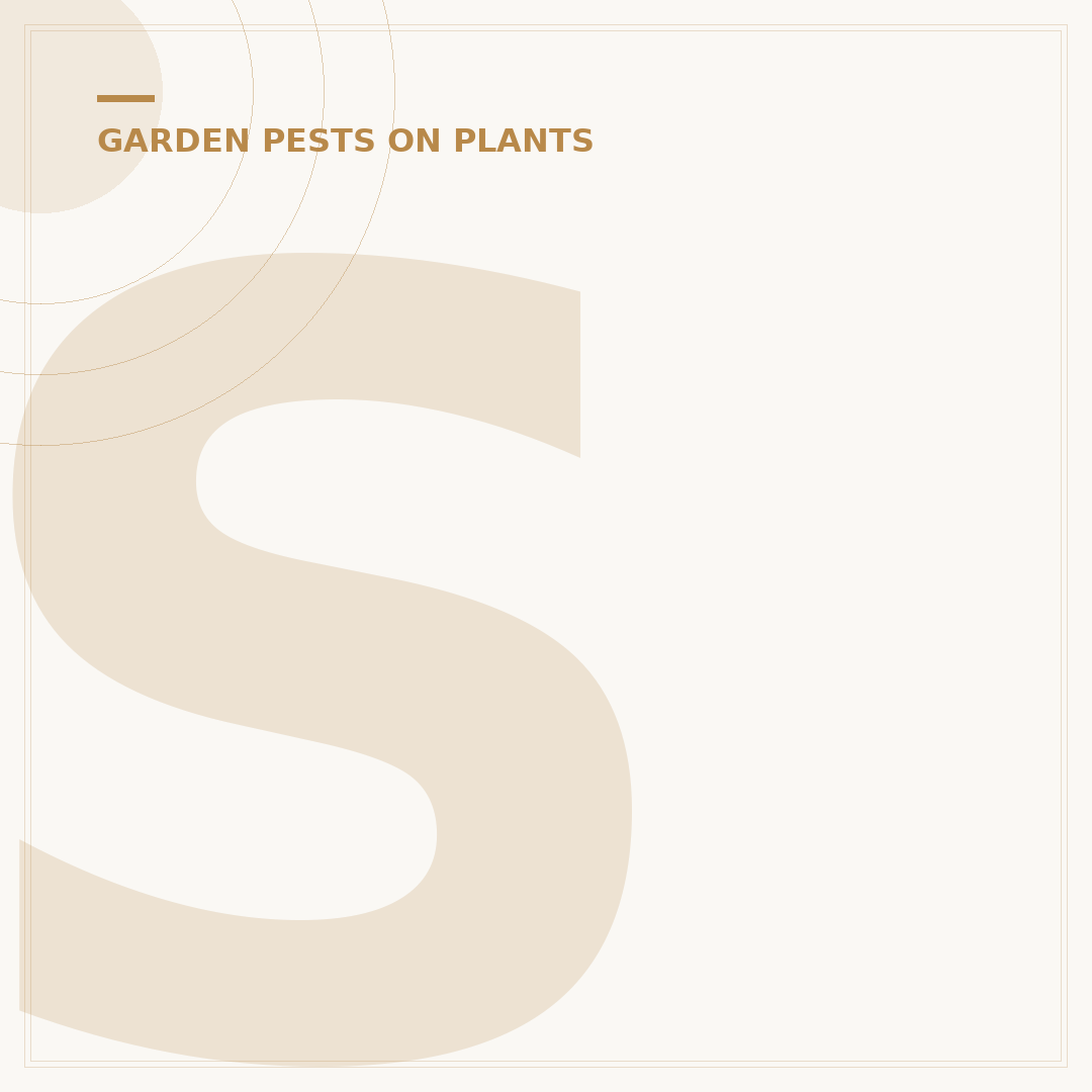 Sawfly Identification and Control in UK Gardens