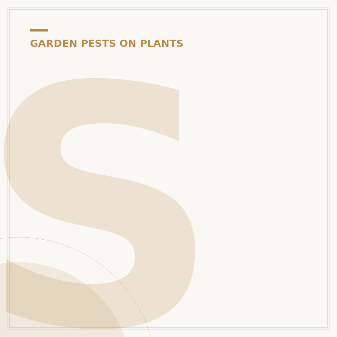 Sawfly Insect: Identification and Control Methods