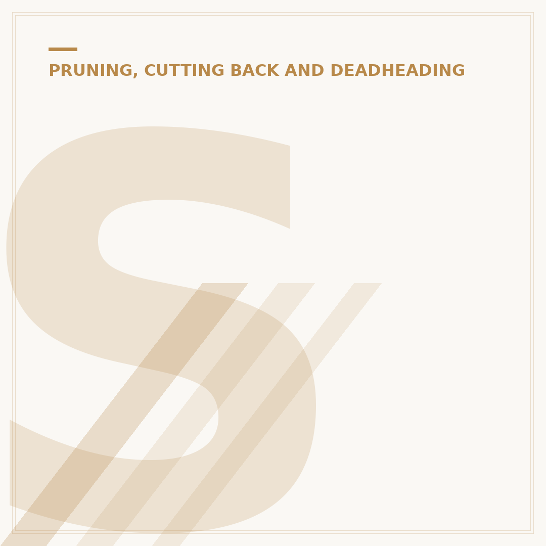 Sawzall Pruning Blades: Choosing the Right Cut