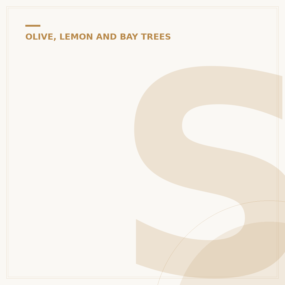 Scale Bugs on Lemon Tree: Identification and Control
