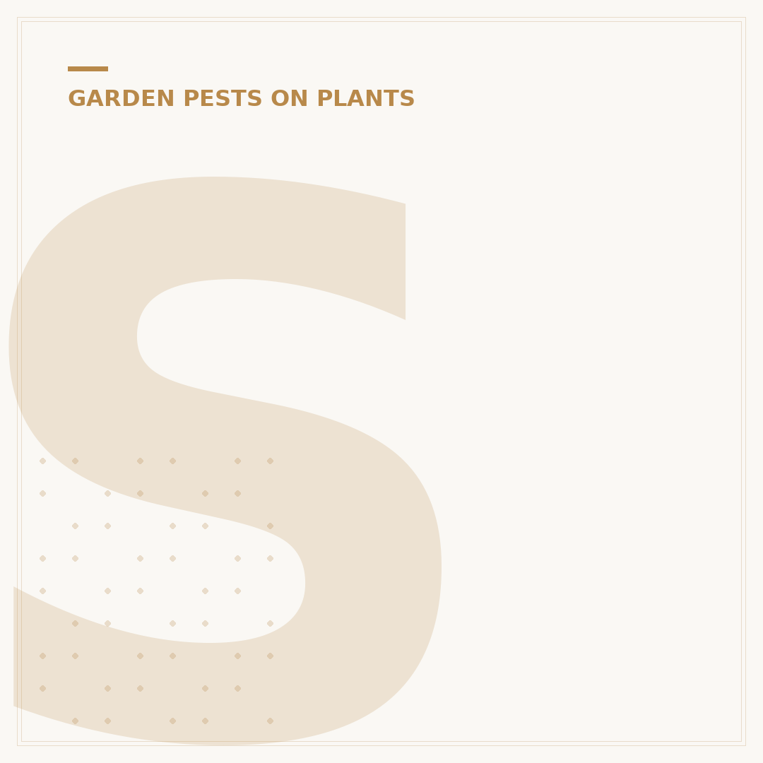 Scale Pests on Plants: Identify and Treat Infestations