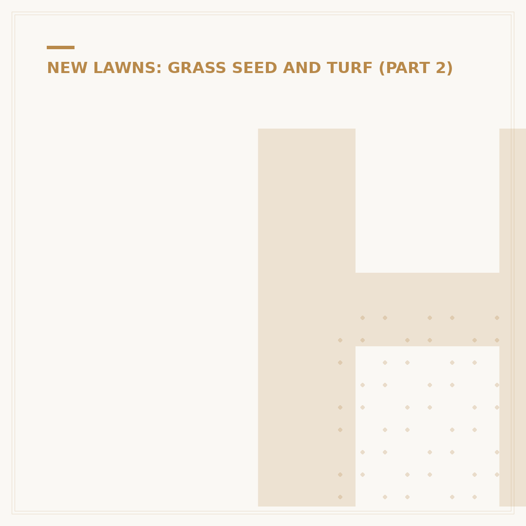 How Long After Scarifying Should I Overseed?