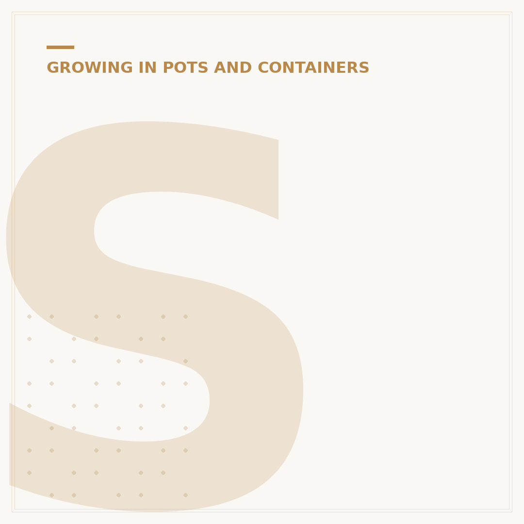 Screen Plants for Pots: Your Privacy Solution