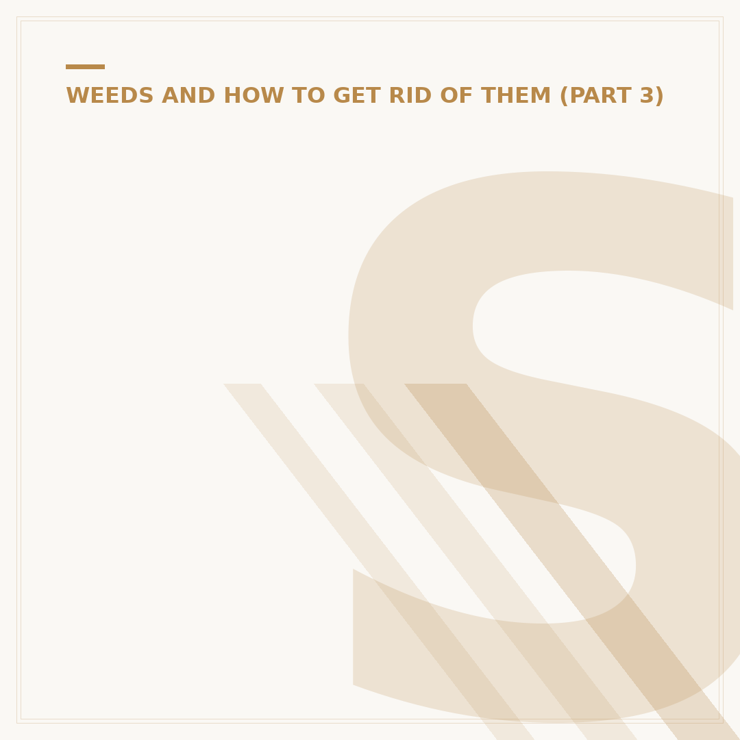 Seddon Homes The Brambles: What to Know