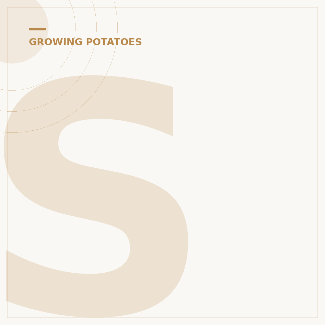 Seed Potatoes Per Grow Bag: How Many to Plant?
