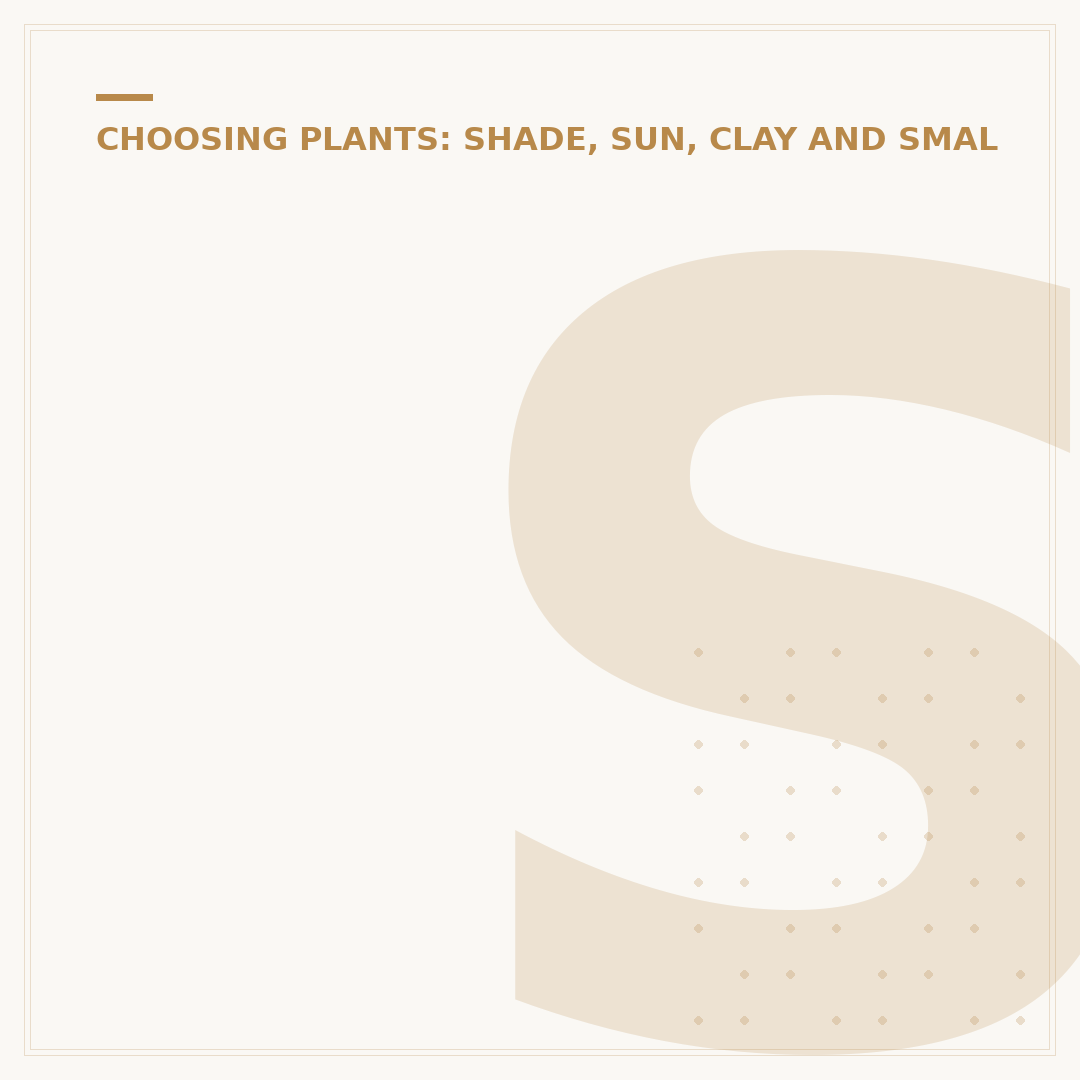 Shade Loving Evergreen Plants for Your Garden