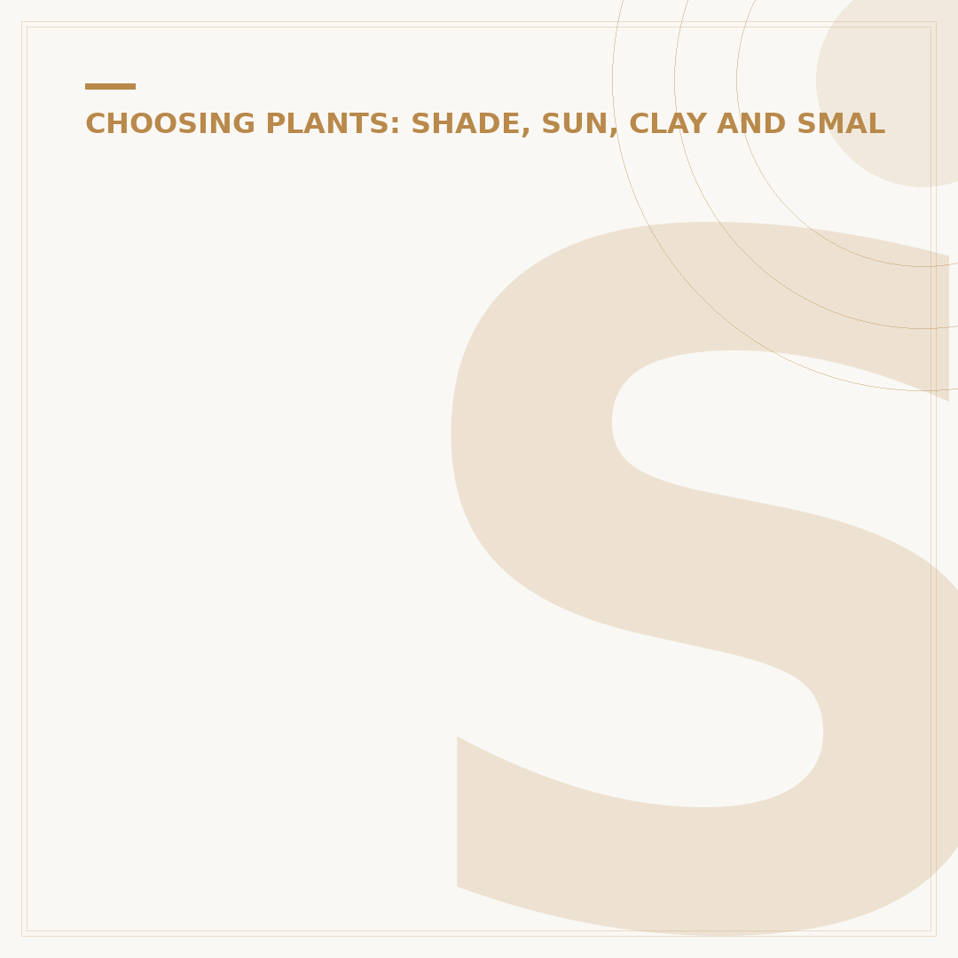 Shade Loving Ground Cover Plants UK