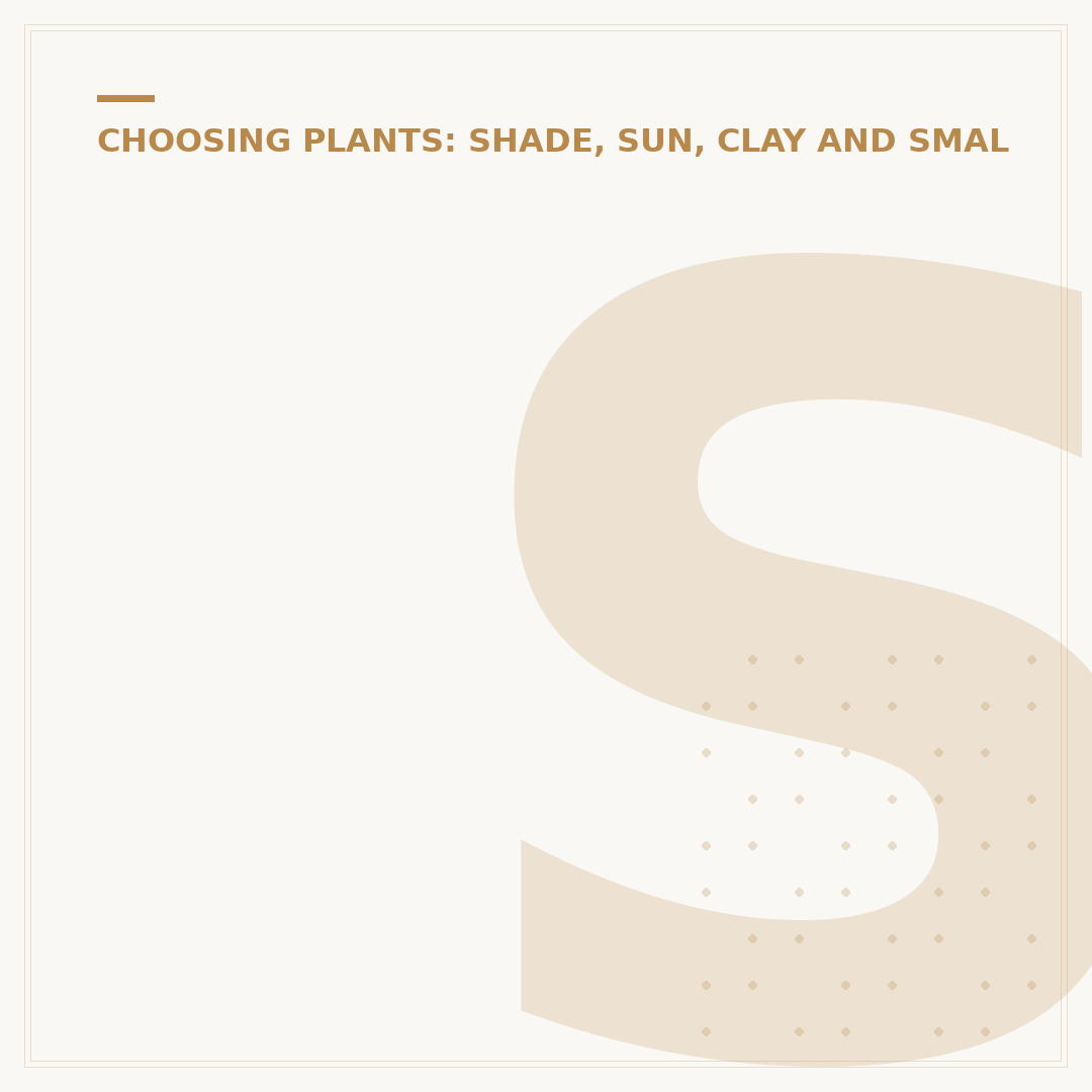 Shade Loving Shrubs for UK Gardens
