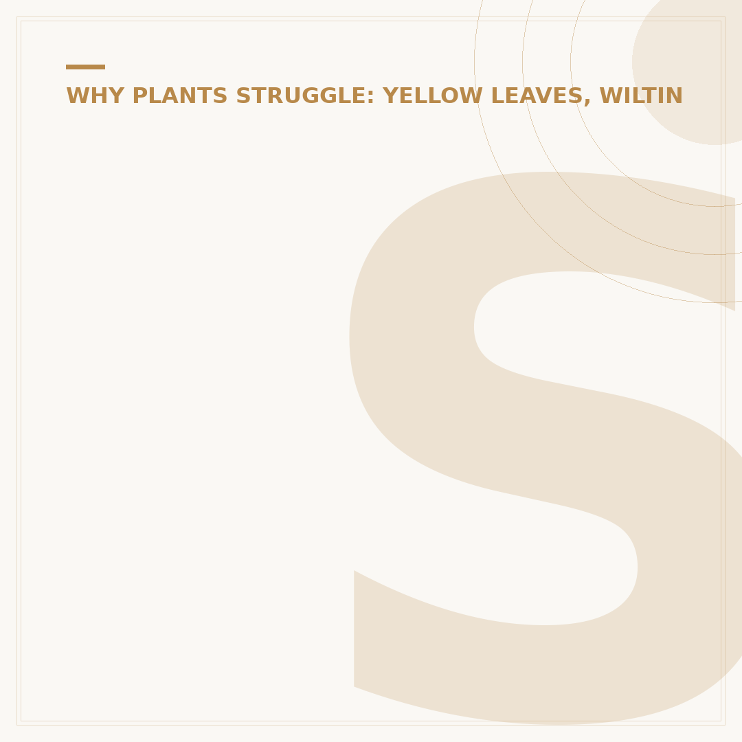 Signs of Overwatering Plants: What to Look For