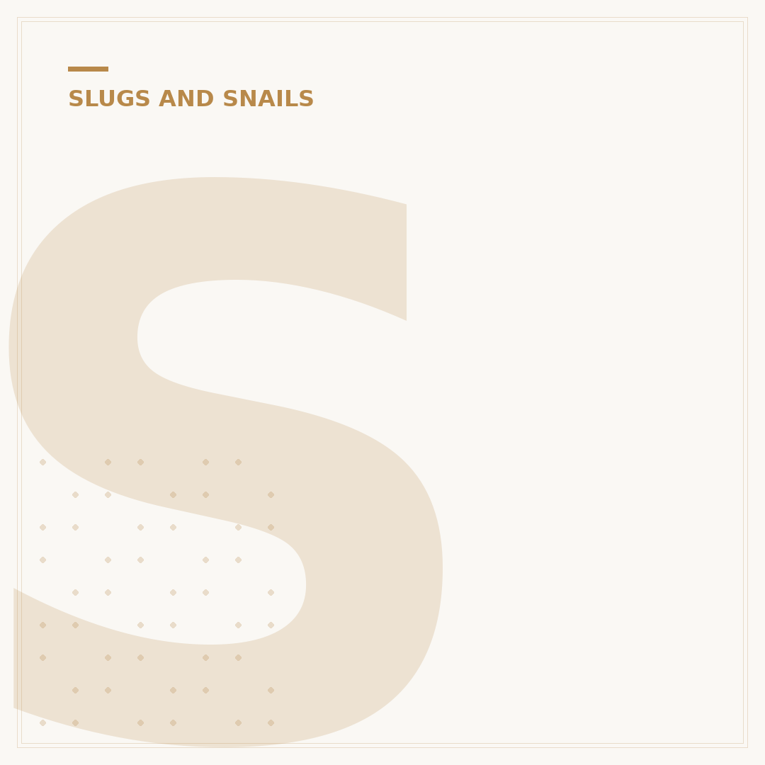 Slugs Eggs: Identification and Garden Control