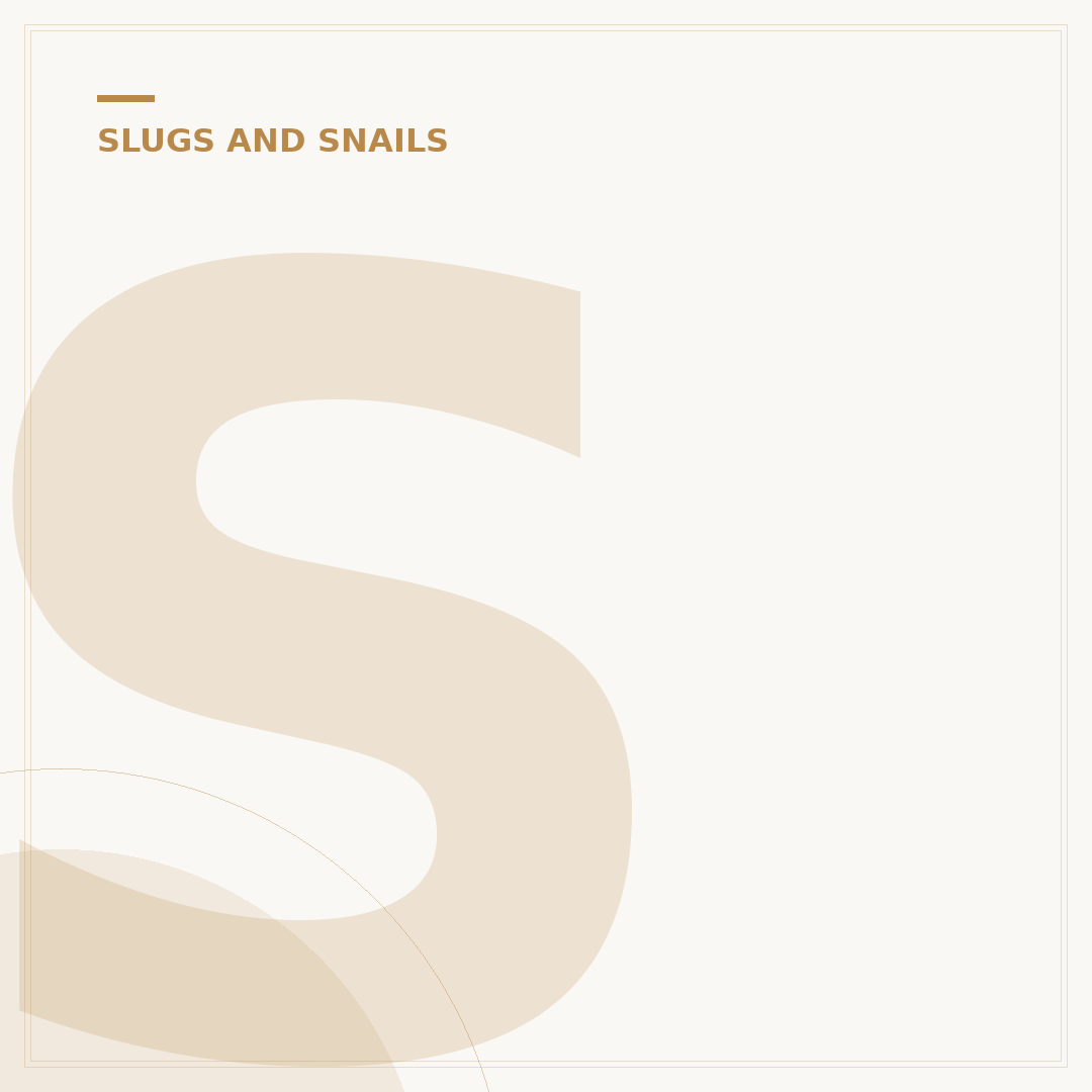 Slugs Having Intercourse: Understanding Their Reproduction