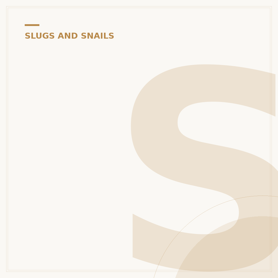 Slugs in Kitchen at Night: Causes and Prevention