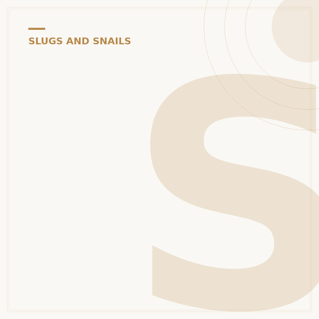 Slugs Mating Habits Explained: Reproduction & Lifecycle