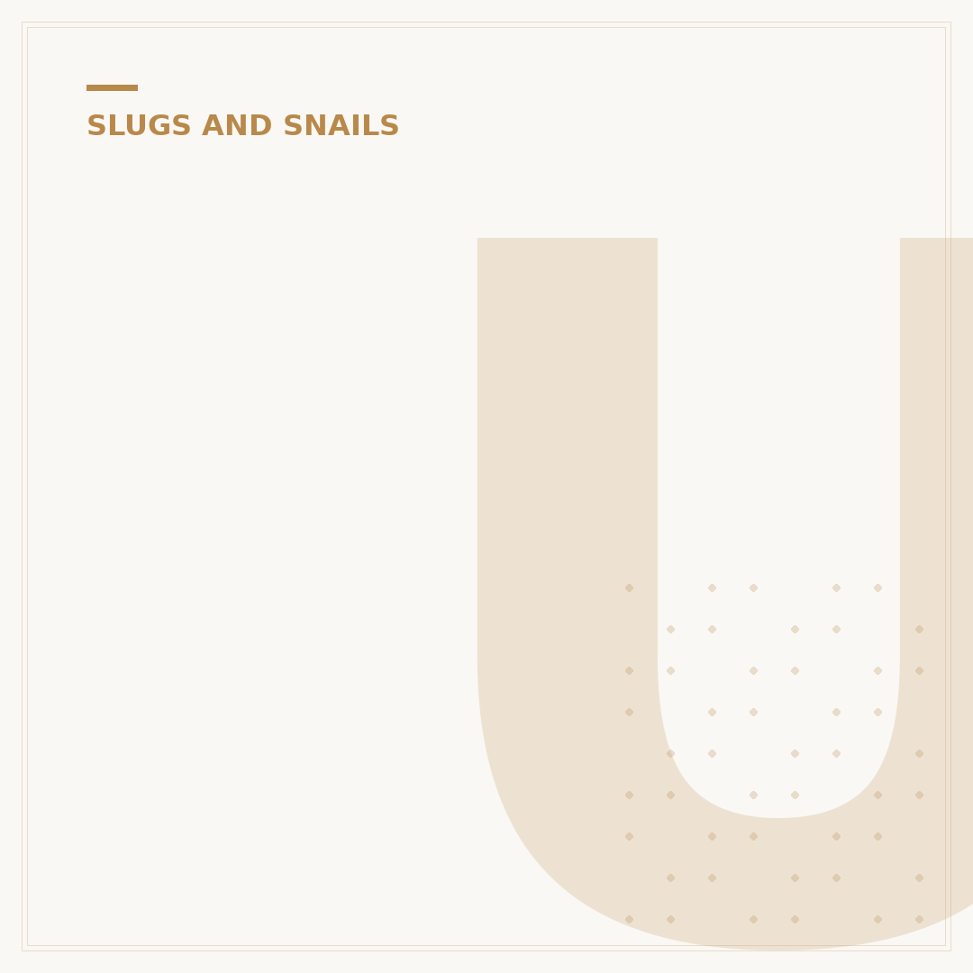 Understanding Slugs Reproducing: Life Cycle & Control