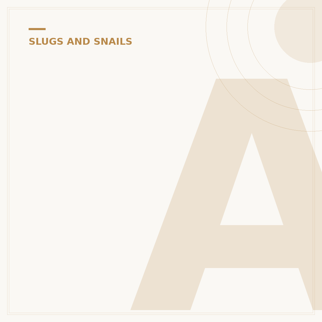 Are Slugs and Snails the Same? The Key Differences Explained