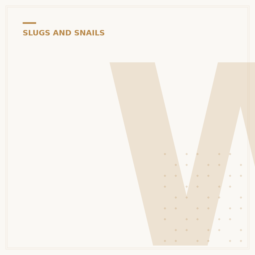 What Are Slugs' Teeth? Understanding the Radula