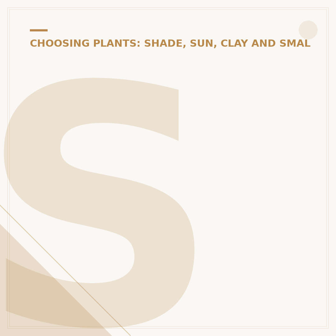 Small Evergreen Shrubs for Shade: Colour All Year