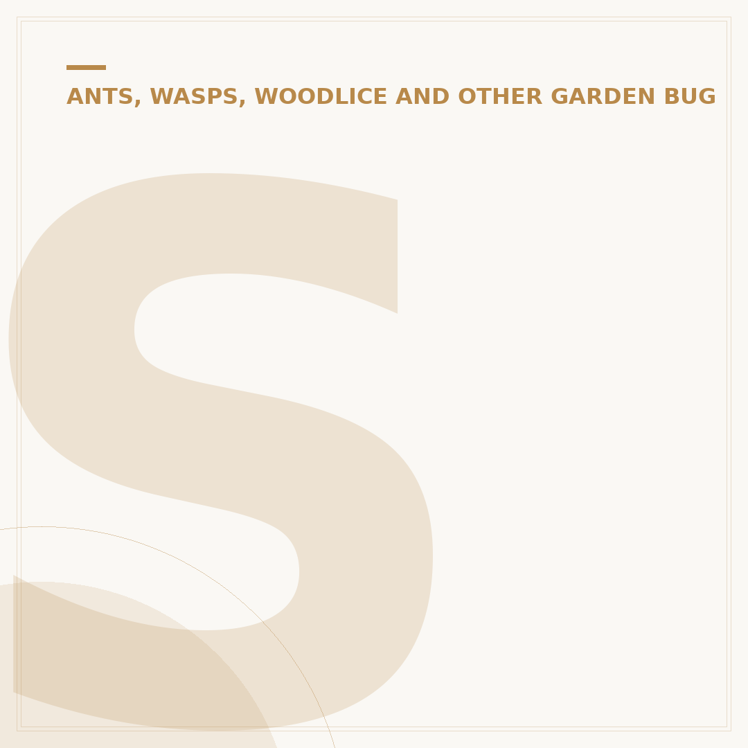 Small Flies on Indoor Plants: Identify and Control