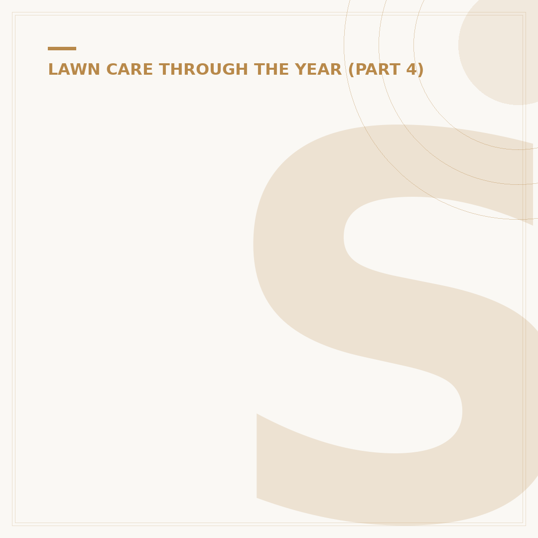 Small Garden Lawn Ideas: Clever Layouts for Compact Spaces