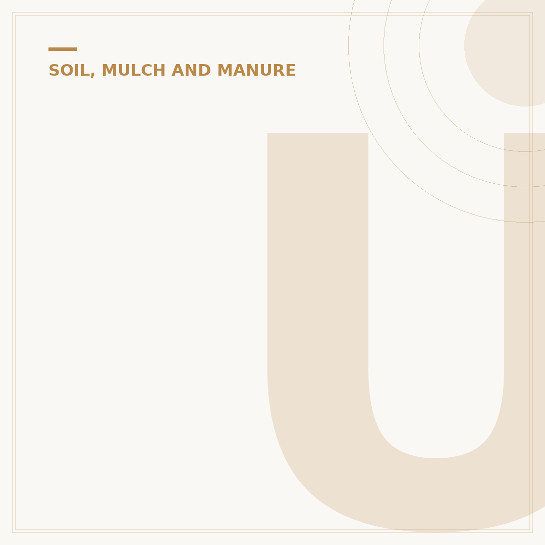 Understanding Soil Level for Healthier Gardens