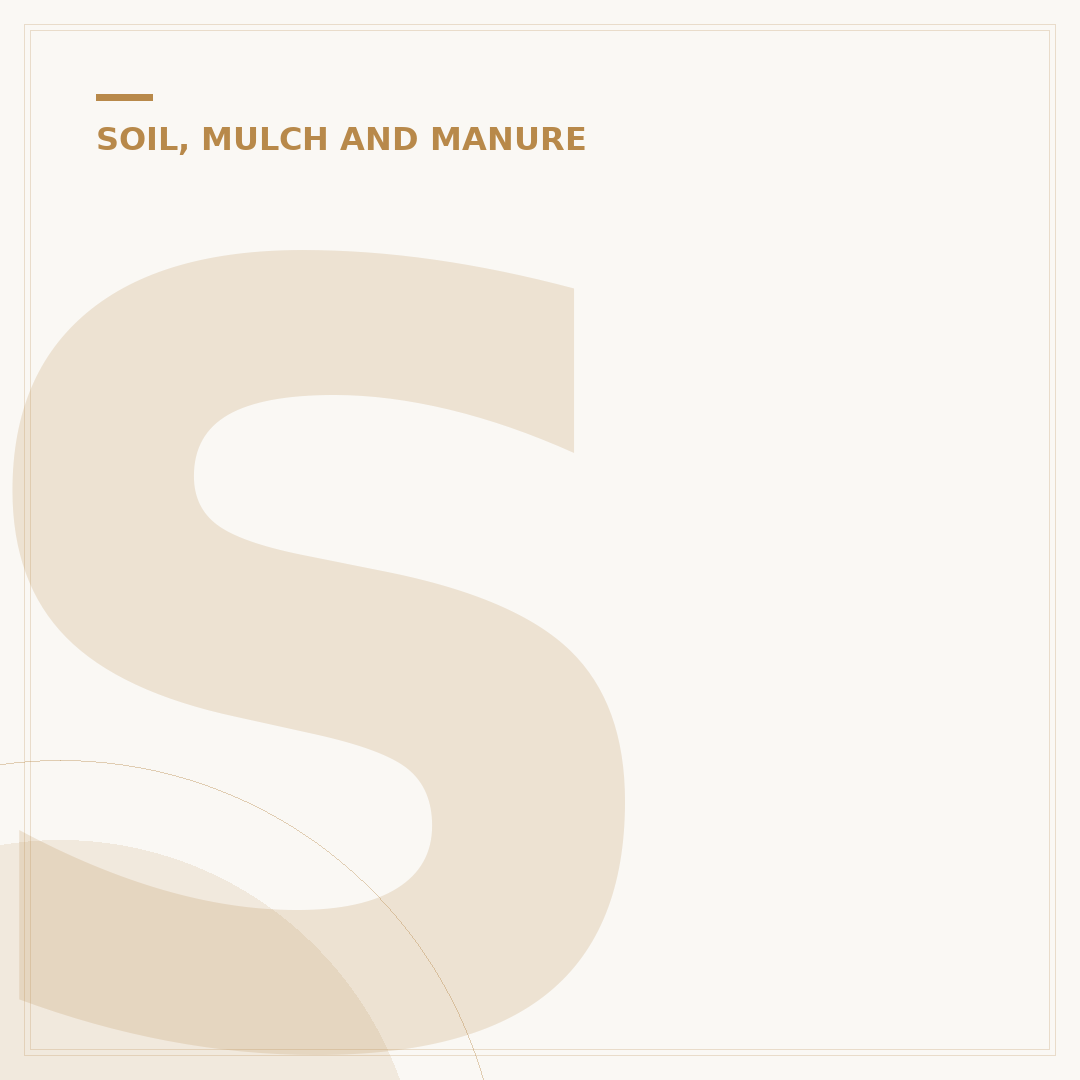 Soil Removal: Options and Alternatives for Your Garden