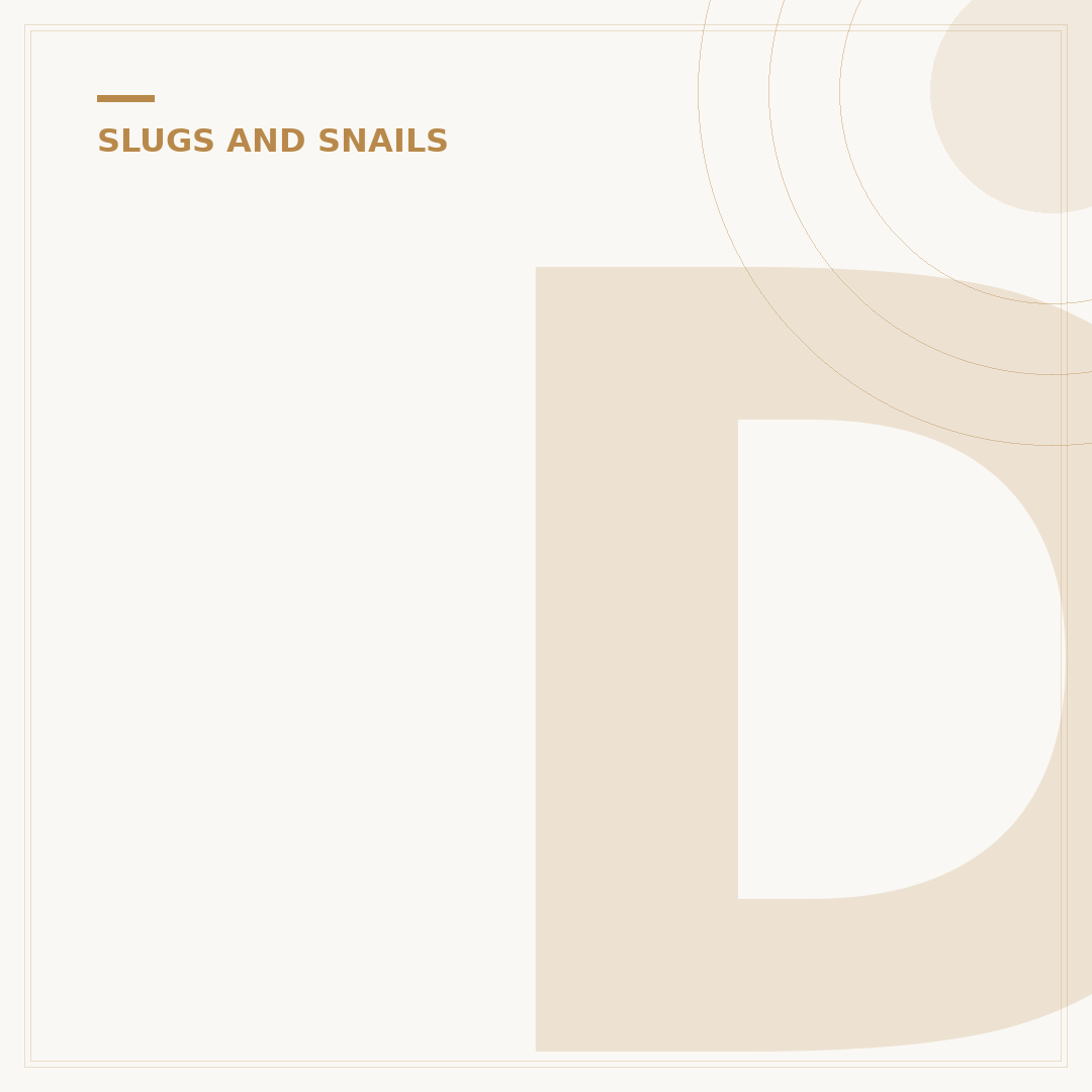 Dealing With Spanish Slugs: Effective Control Alternatives