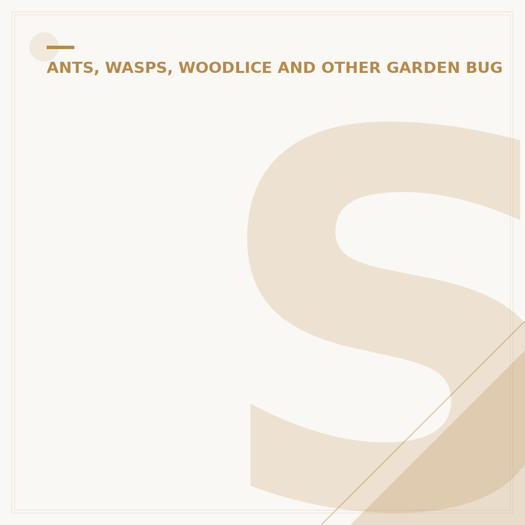 Spiders Found With Woodlice: What They Are