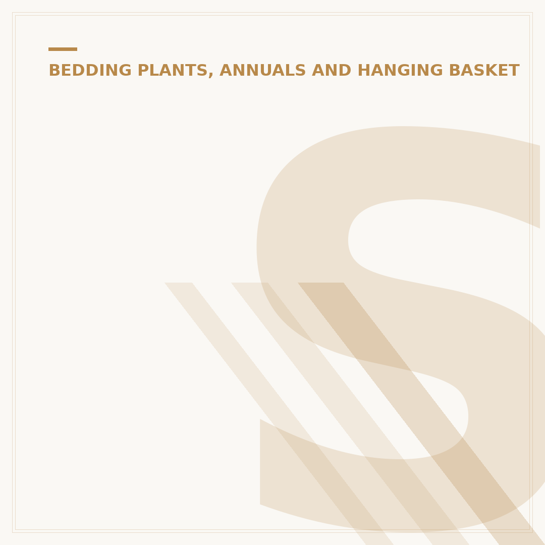 Spotted Geraniums: Varieties, Care & Alternatives