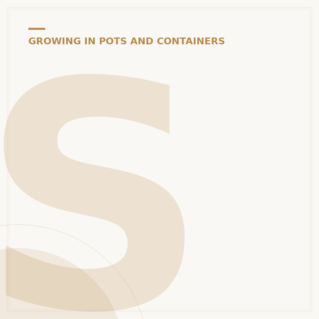 Square Plant Pots