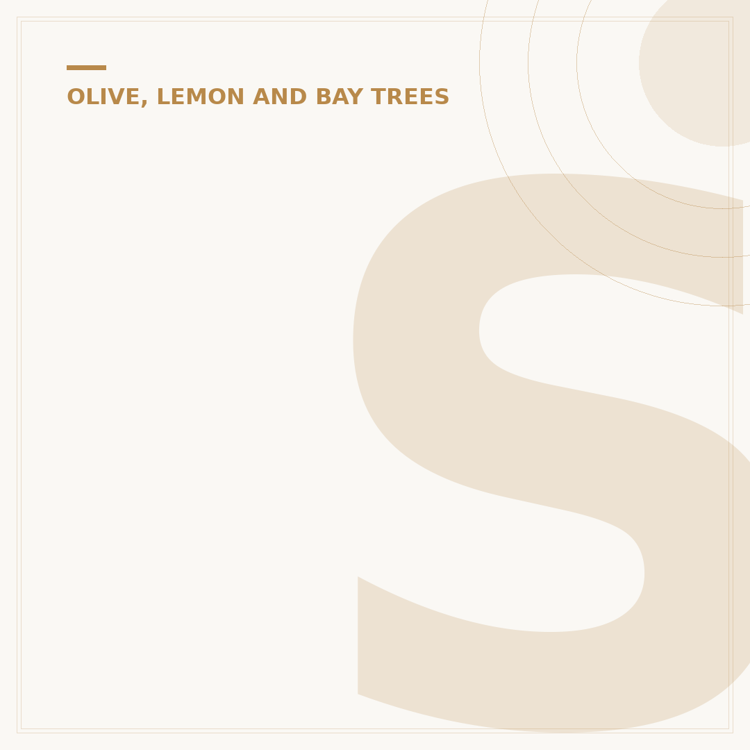 Standard Bay Tree Care: Problems, Solutions & Alternatives