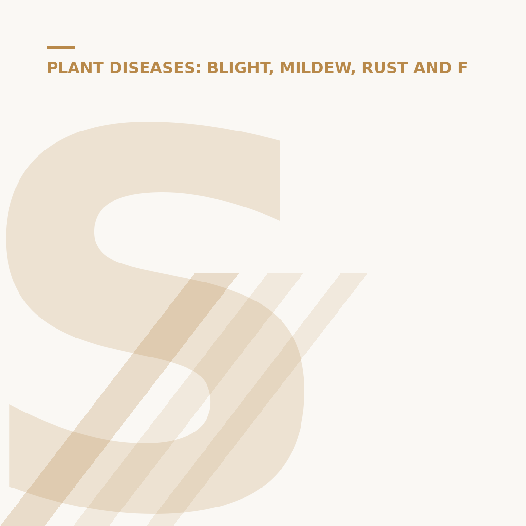 Stihl Equipment Diseases