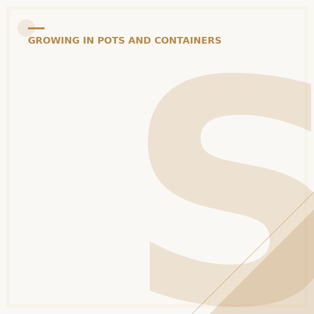 Stone Plant Pots: Durable & Stylish Garden Containers