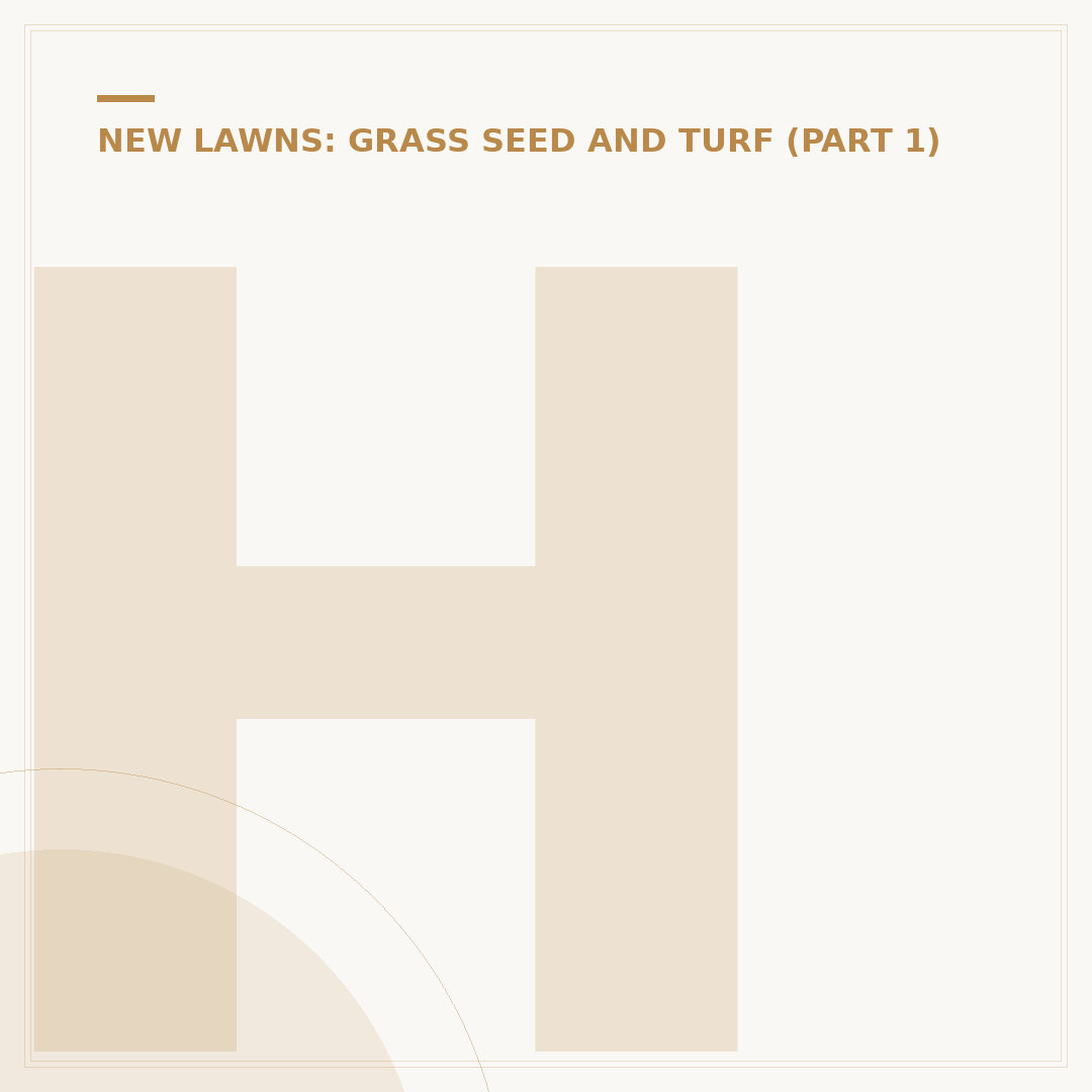 How to Stop Birds Eating Grass Seed Effectively