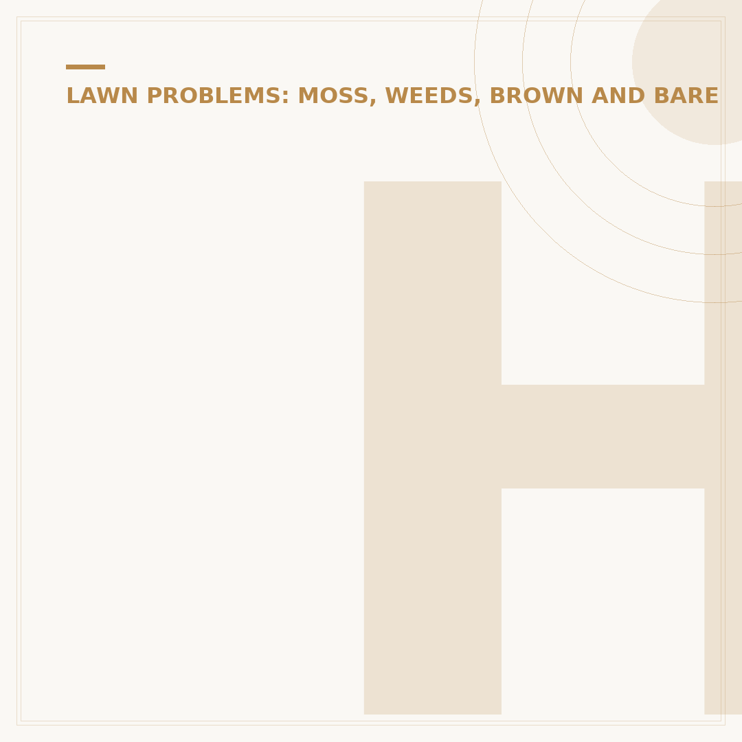 How To Stop Dog Wee Burning Grass Lawns